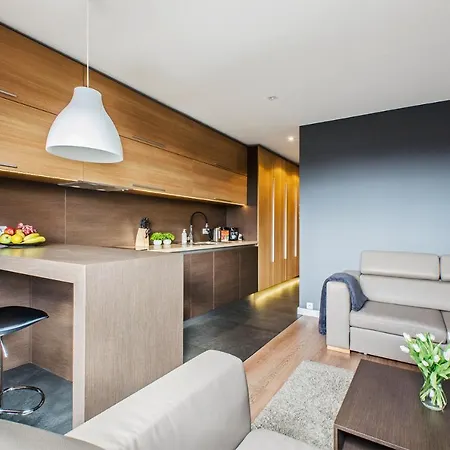 Lupoapartments Z Klimatyzacja Do Wyboru Z Jacuzzi Pole Dance Parking Dostep Na Kod *