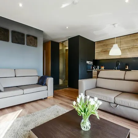 Lupoapartments Do Wyboru Z Jacuzzi Pole Dance Parking Dostep Na Kod *