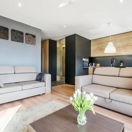 Lupoapartments Z Klimatyzacja Do Wyboru Z Jacuzzi Pole Dance Parking Dostep Na Kod Lodž