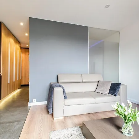 公寓 Lupoapartments Z Klimatyzacja Do Wyboru Z Jacuzzi Pole Dance Parking Dostep Na Kod 罗兹