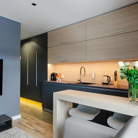 Lupoapartments Do Wyboru Z Jacuzzi Pole Dance Parking Dostep Na Kod Apartment Lodz (Lodz)