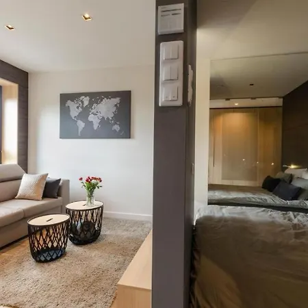 Lupoapartments Do Wyboru Z Jacuzzi Pole Dance Parking Dostep Na Kod *
