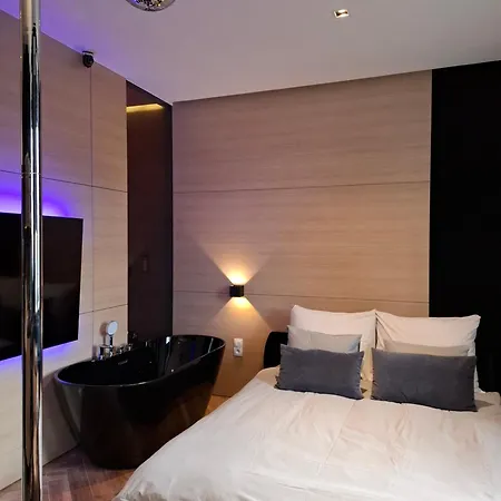 Lupoapartments Z Klimatyzacja Do Wyboru Z Jacuzzi Pole Dance Parking Dostep Na Kod Apartamento Łódź