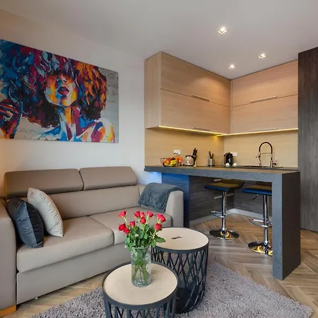 Lupoapartments Do Wyboru Z Jacuzzi Pole Dance Parking Dostep Na Kod