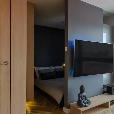 Lupoapartments Do Wyboru Z Jacuzzi Pole Dance Parking Dostep Na Kod Apartment