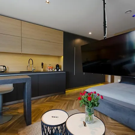 Apartament Lupoapartments Z Klimatyzacją Do Wyboru Z Jacuzzi Pole Dance Parking Dostęp Na Kod *