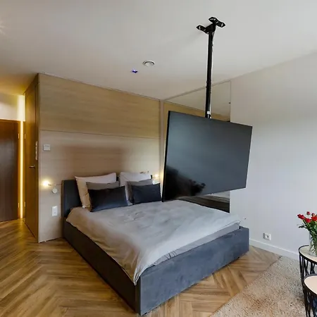 Lupoapartments Z Klimatyzacja Do Wyboru Z Jacuzzi Pole Dance Parking Dostep Na Kod Appartement Łódź