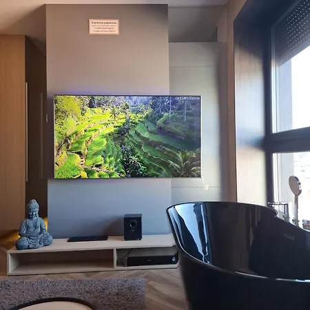 Lupoapartments Z Klimatyzacja Do Wyboru Z Jacuzzi Pole Dance Parking Dostep Na Kod