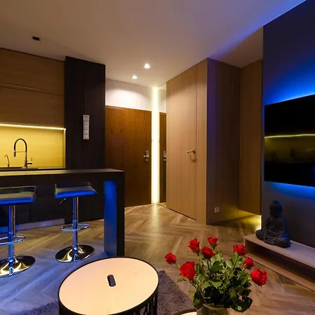 Lupoapartments Do Wyboru Z Jacuzzi Pole Dance Parking Dostep Na Kod Apartament