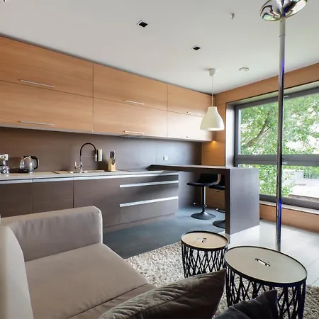 Lupoapartments Z Klimatyzacja Do Wyboru Z Jacuzzi Pole Dance Parking Dostep Na Kod Appartamento Łódź