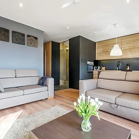 Lupoapartments Z Klimatyzacja Do Wyboru Z Jacuzzi Pole Dance Parking Dostep Na Kod
