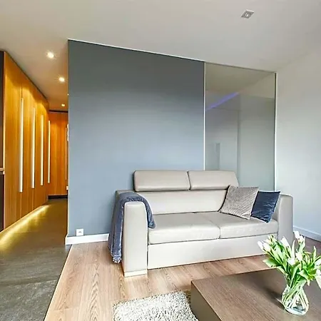 Lupoapartments Z Klimatyzacja Do Wyboru Z Jacuzzi Pole Dance Parking Dostep Na Kod