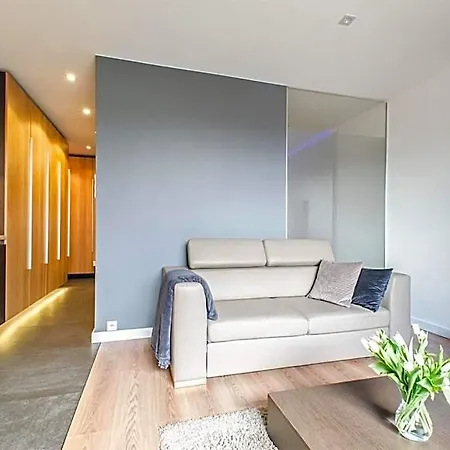 Lupoapartments Z Klimatyzacja Do Wyboru Z Jacuzzi Pole Dance Parking Dostep Na Kod Apartamento