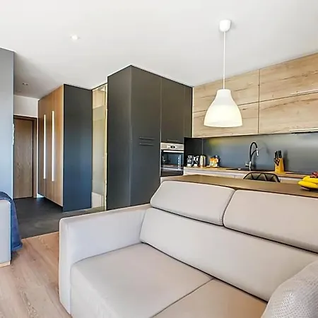 Apartamento Lupoapartments Z Klimatyzacja Do Wyboru Z Jacuzzi Pole Dance Parking Dostep Na Kod Łódź