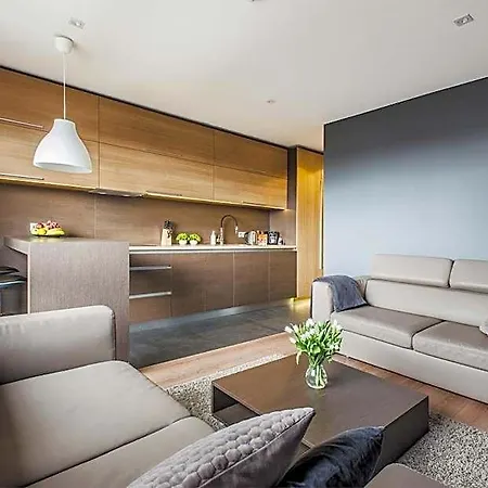 Lupoapartments Z Klimatyzacja Do Wyboru Z Jacuzzi Pole Dance Parking Dostep Na Kod *