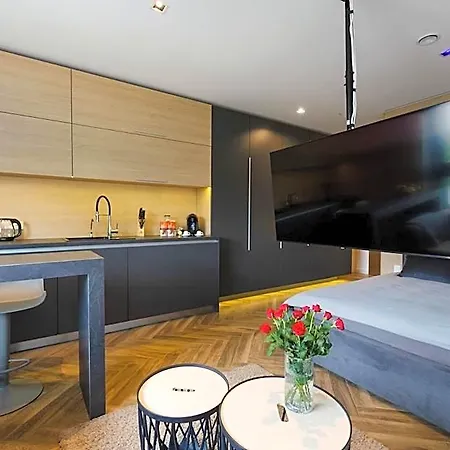 Lupoapartments Z Klimatyzacja Do Wyboru Z Jacuzzi Pole Dance Parking Dostep Na Kod Apartamento