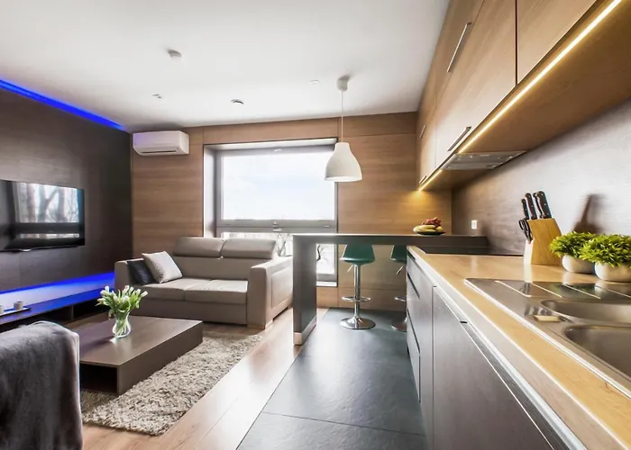 Apartament Lupoapartments Z Klimatyzacją Do Wyboru Z Jacuzzi Pole Dance Parking Dostęp Na Kod