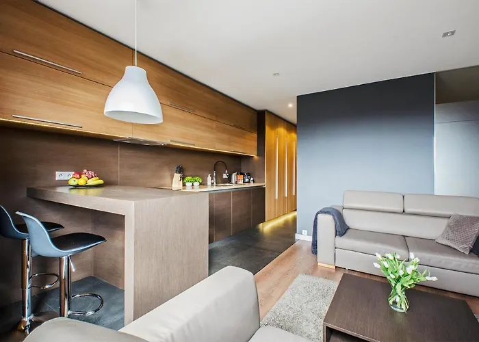 Lupoapartments Z Klimatyzacją Do Wyboru Z Jacuzzi Pole Dance Parking Dostęp Na Kod *