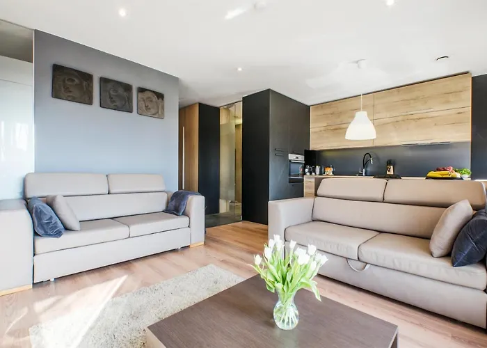 Lupoapartments Z Klimatyzacją Do Wyboru Z Jacuzzi Pole Dance Parking Dostęp Na Kod Łódź