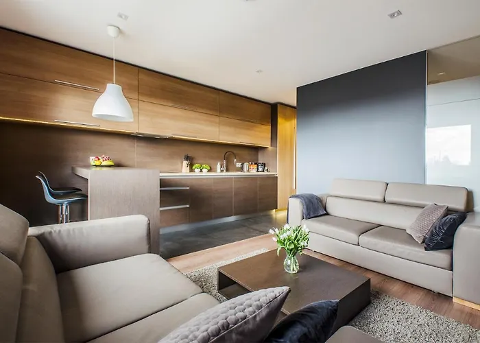 Lupoapartments Z Klimatyzacja Do Wyboru Z Jacuzzi Pole Dance Parking Dostep Na Kod Apartamento *