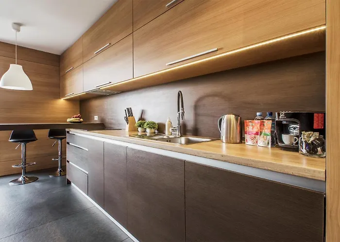 Lupoapartments Z Klimatyzacją Do Wyboru Z Jacuzzi Pole Dance Parking Dostęp Na Kod Apartament *