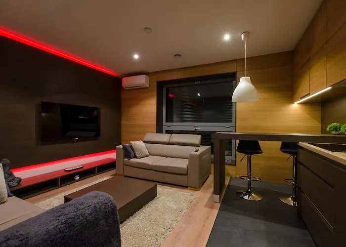 Lupoapartments Z Klimatyzacja Do Wyboru Z Jacuzzi Pole Dance Parking Dostep Na Kod Apartamento Łódź