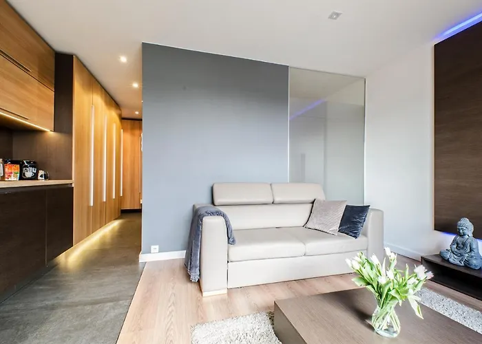 Apartamento Lupoapartments Z Klimatyzacja Do Wyboru Z Jacuzzi Pole Dance Parking Dostep Na Kod Łódź