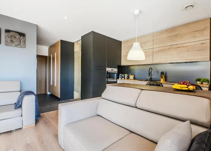 Lupoapartments Z Klimatyzacja Do Wyboru Z Jacuzzi Pole Dance Parking Dostep Na Kod Łódź