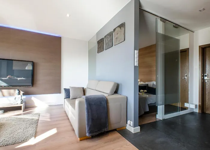 Apartamento Lupoapartments Z Klimatyzacja Do Wyboru Z Jacuzzi Pole Dance Parking Dostep Na Kod Łódź