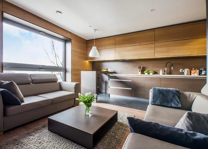 Lupoapartments Z Klimatyzacją Do Wyboru Z Jacuzzi Pole Dance Parking Dostęp Na Kod Apartament *