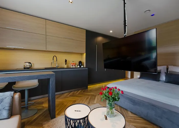 Apartamento Lupoapartments Z Klimatyzacja Do Wyboru Z Jacuzzi Pole Dance Parking Dostep Na Kod *