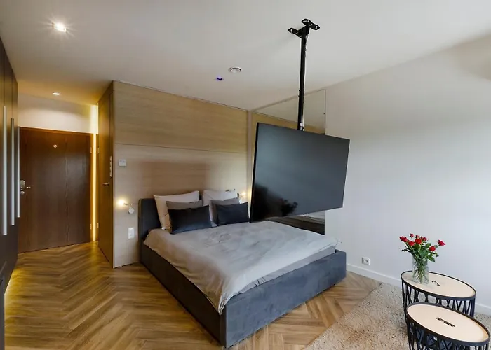 Lupoapartments Z Klimatyzacją Do Wyboru Z Jacuzzi Pole Dance Parking Dostęp Na Kod Apartament Łódź