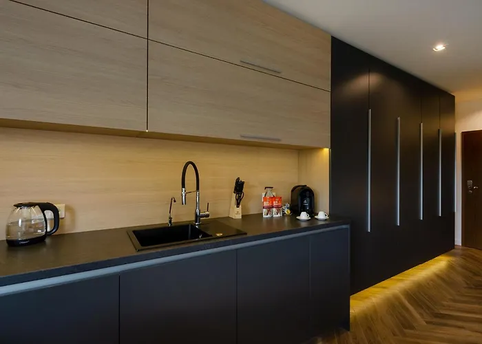 Lupoapartments Z Klimatyzacja Do Wyboru Z Jacuzzi Pole Dance Parking Dostep Na Kod Apartamento Łódź